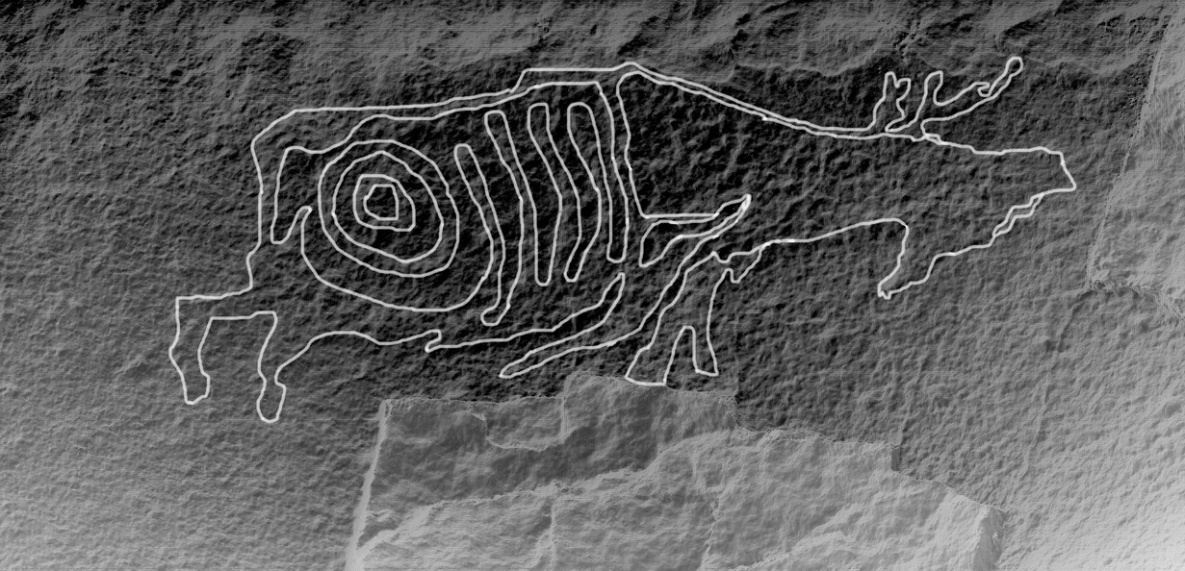 «Рентген» древнего лося нашли археологи в Хабаровском крае
