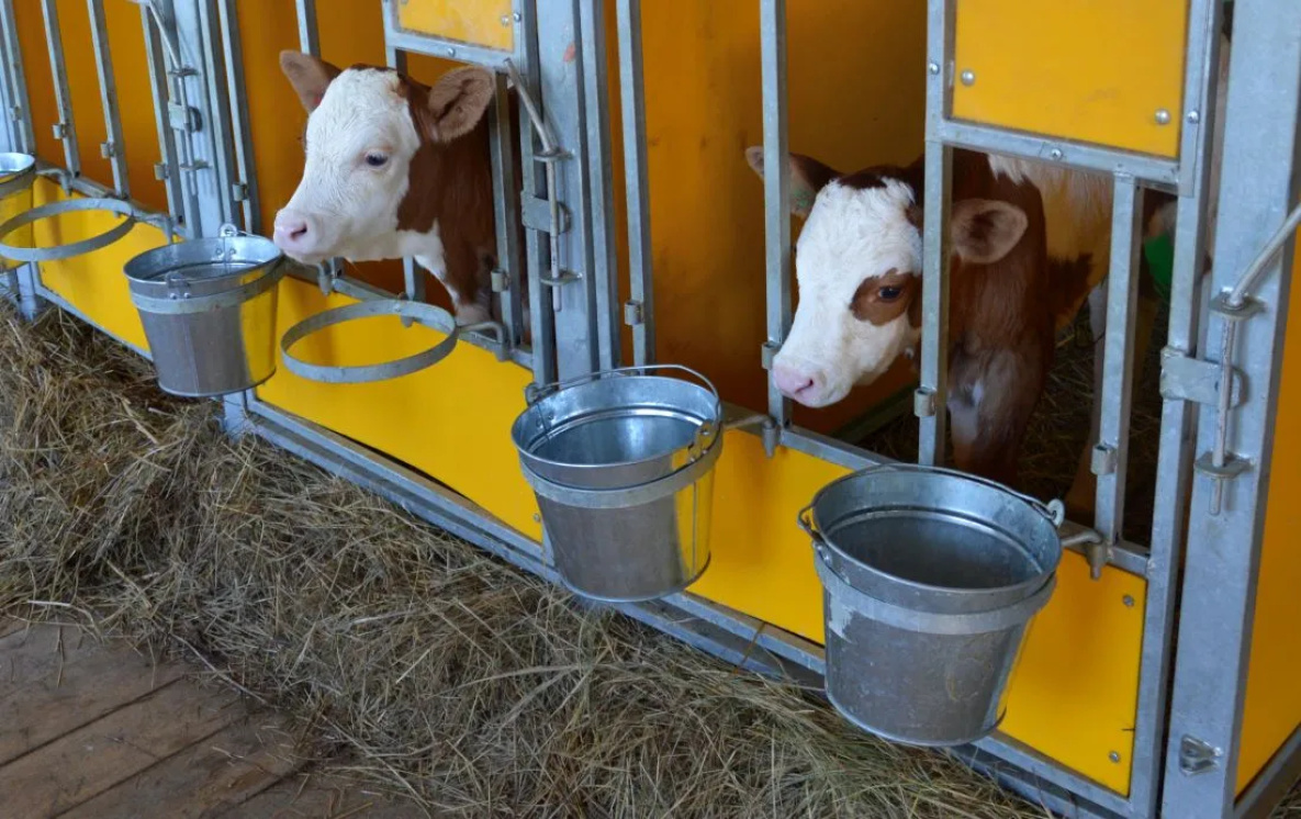 Грант «Агростартап» помог создать в Хабаровском крае 59 фермерских хозяйств