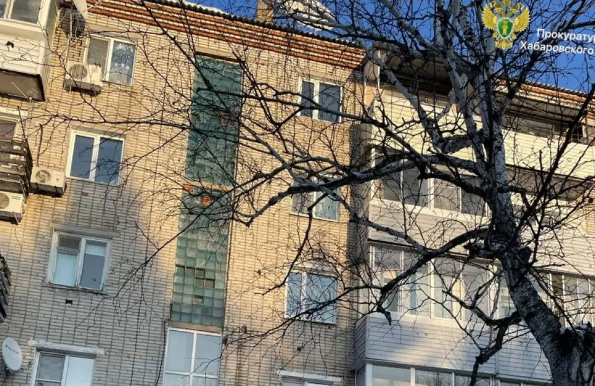 Девочка выжила при падении с пятого этажа в Хабаровском крае