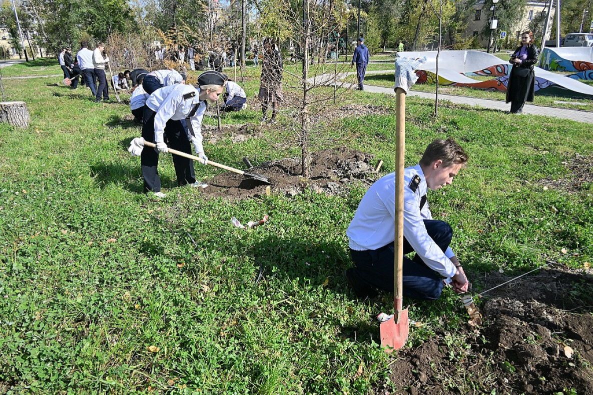 В Хабаровске озеленили благоустроенный по нацпроекту сквер на Аксёнова