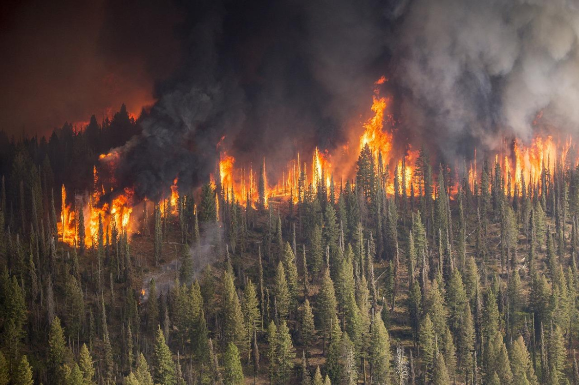 В Хабаровском крае ухудшается ситуация с лесными пожарами