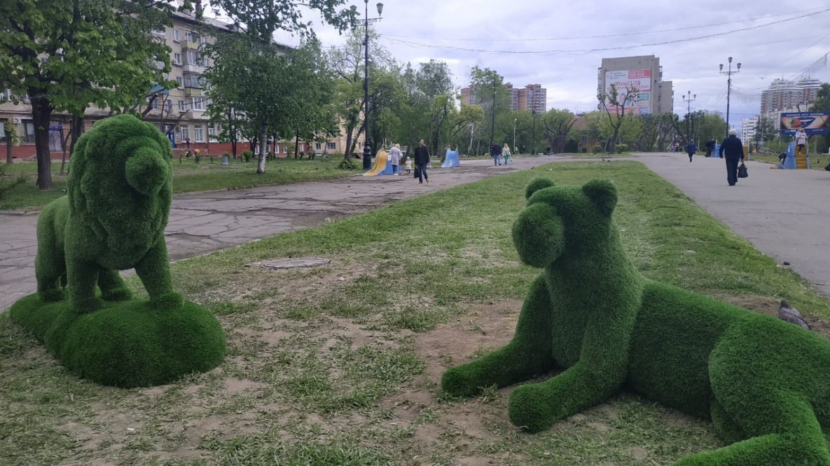 Хабаровск начинают заселять зеленые звери