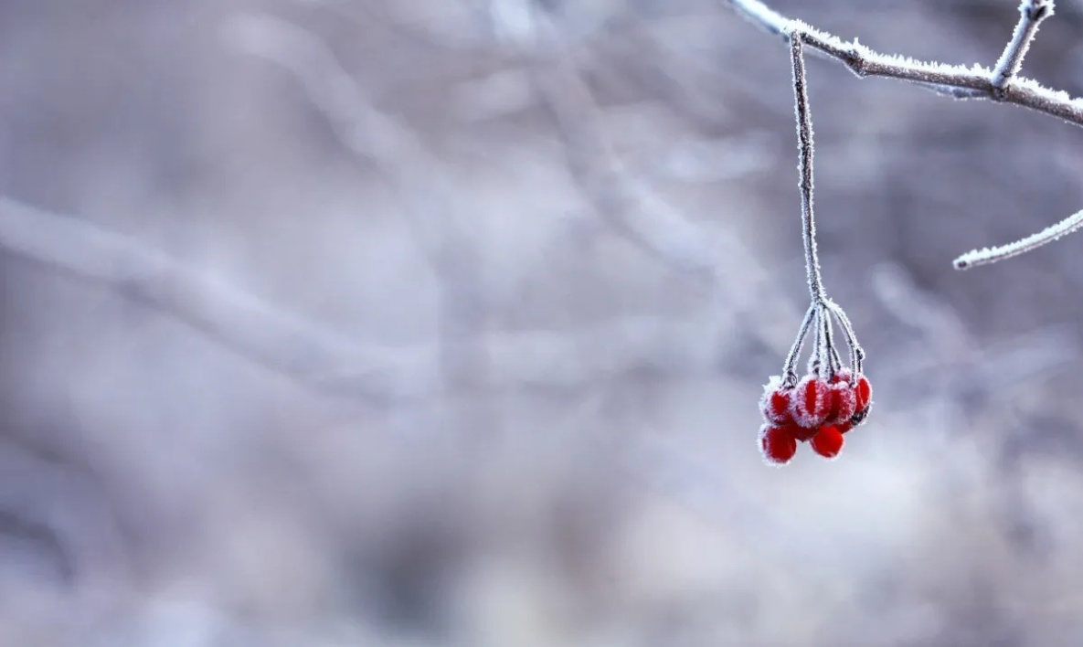 Народные приметы на 3 января: девушкам нужно сегодня умыться ключевой водой