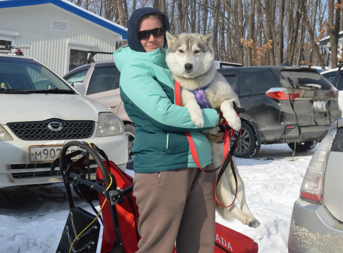 «Амурская метель» собрала под Хабаровском любителей ездового спорта 