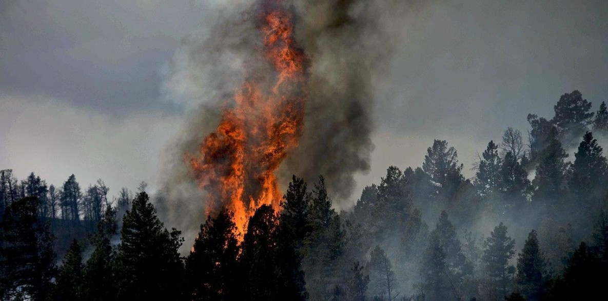 Пожар в Солнечном районе локализован и не угрожает Горному