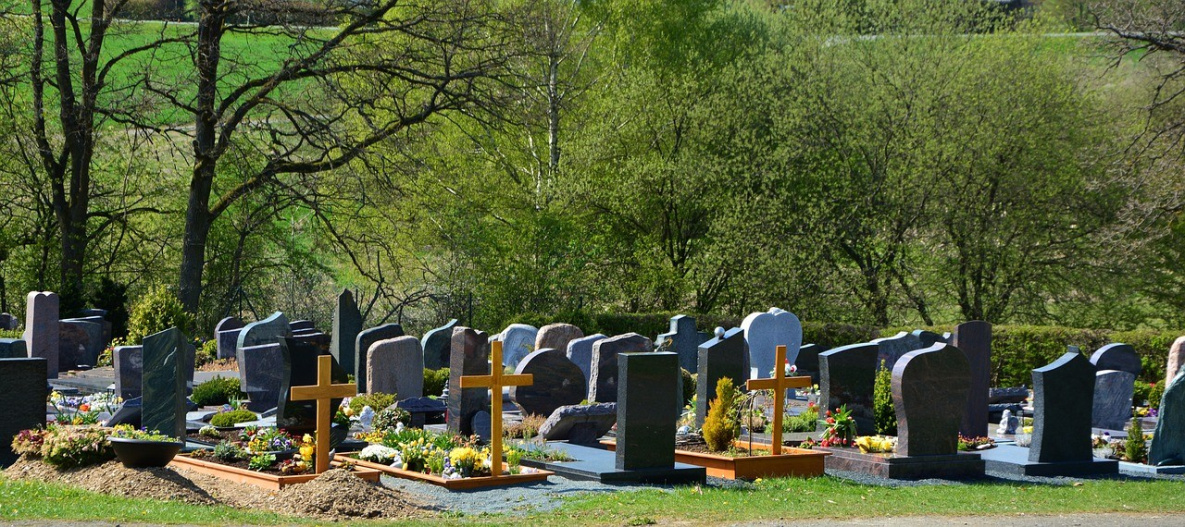 Новое кладбище в Хабаровске заработает не раньше 2022 года