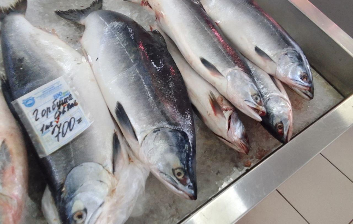 Горбуша улова 2025 года появилась на рынке в Хабаровске
