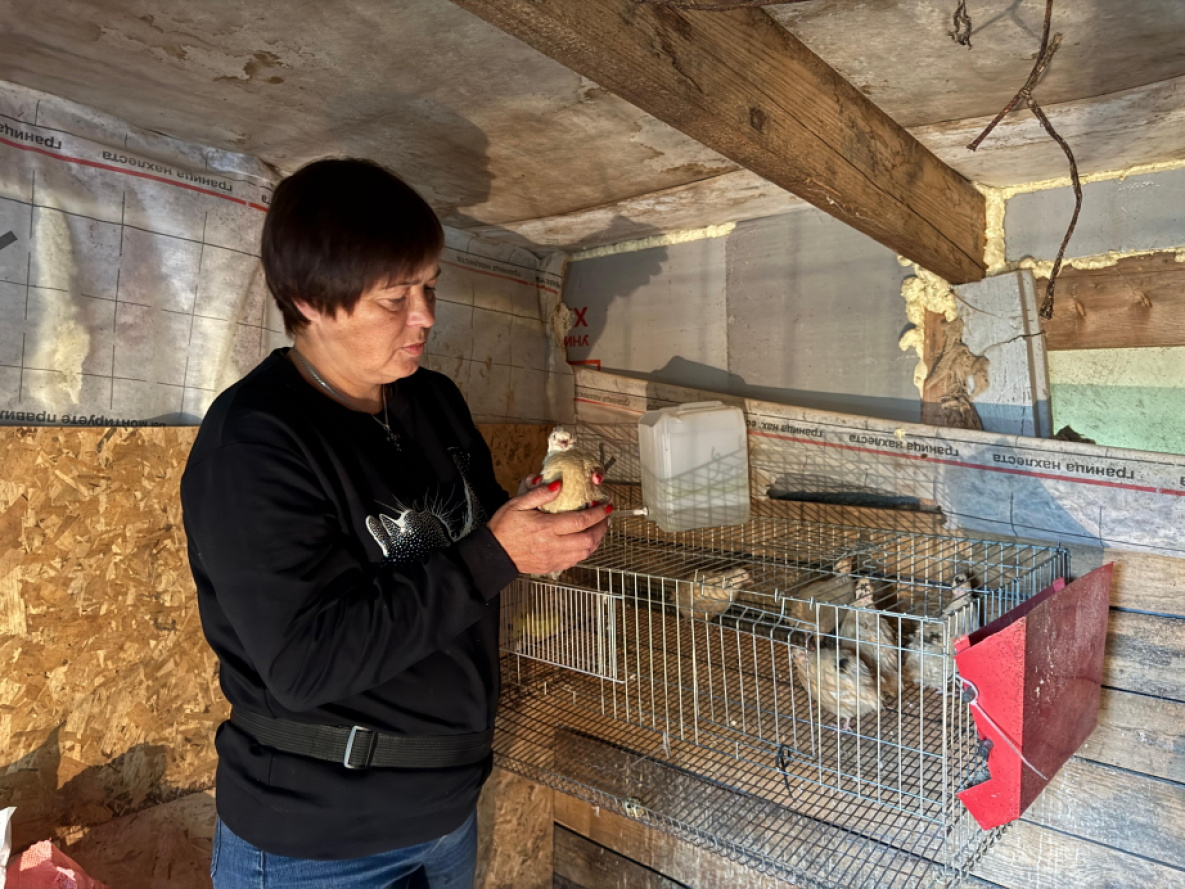 Более 3,5 тысяч жителей Хабаровского края получили поддержку от государства