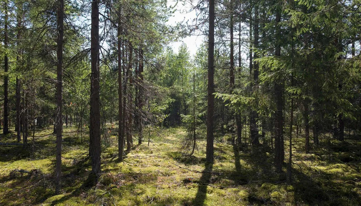 Проекты учёных из Хабаровского края получат федеральную поддержку 