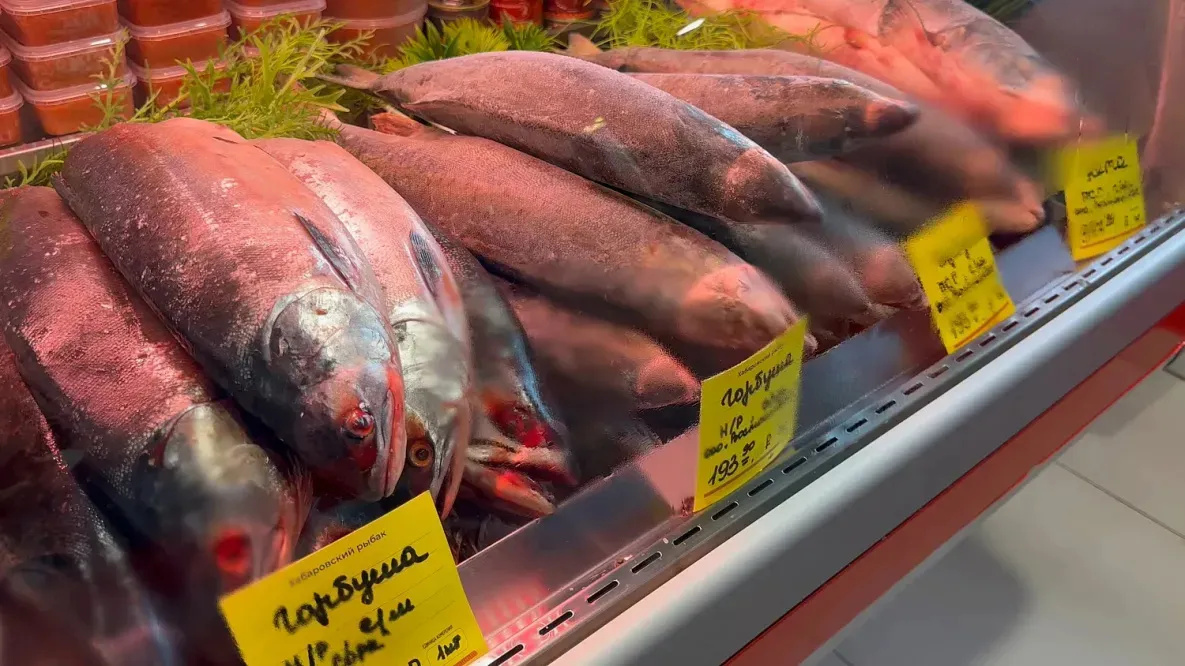 В Хабаровске в гигантском котле сварят уху, в которой будет 120 кг форели 