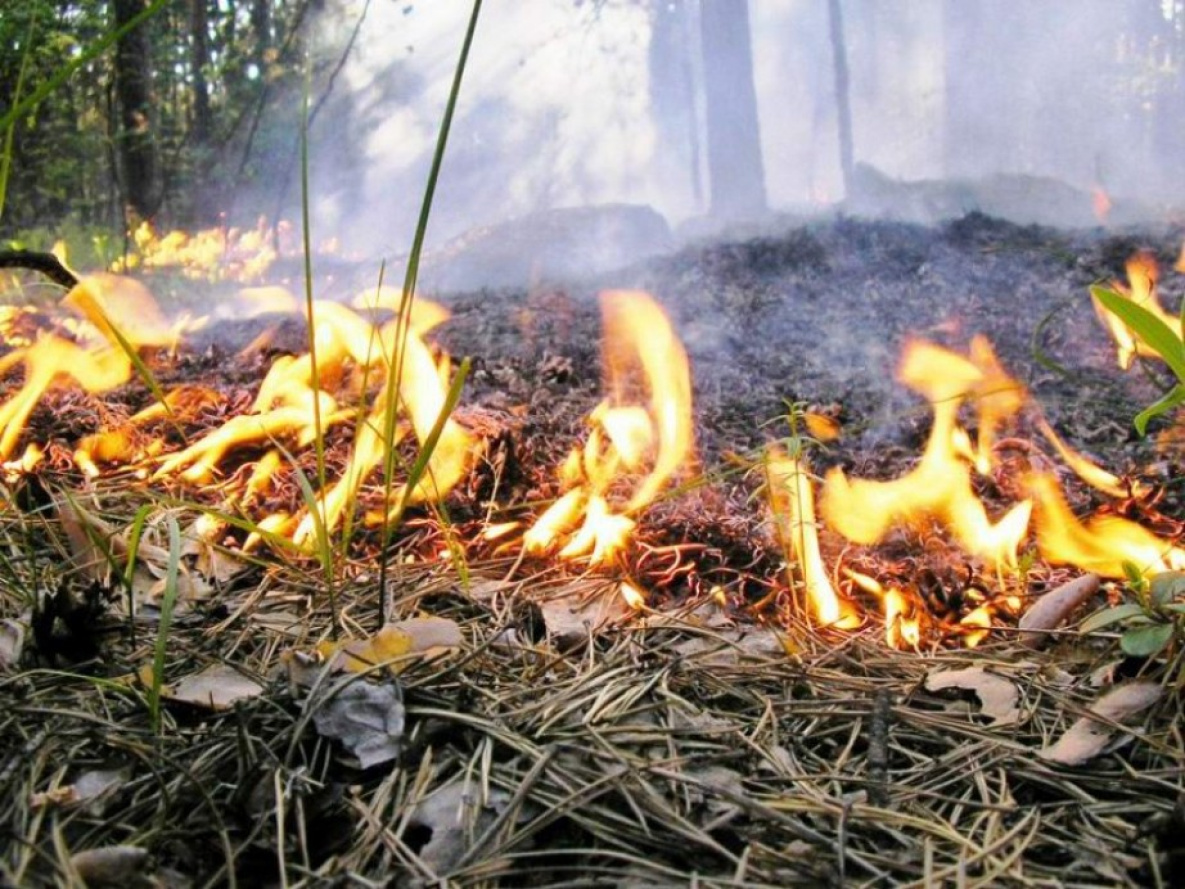 В Хабаровском крае готовятся к осеннему пожароопасному сезону