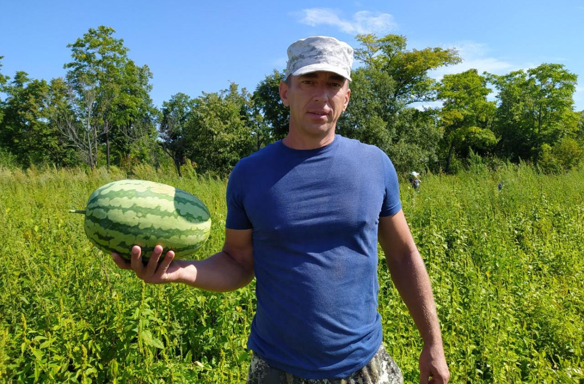 Благотворительный урожай арбузов собрали волонтёры под Хабаровском