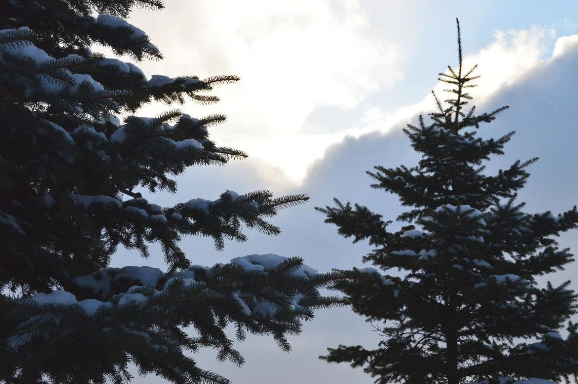Прогноз на 3 декабря: непогода успокаивается в Хабаровском крае