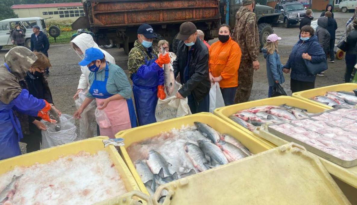 В Охотском районе лососей раздадут бесплатно и по низкой цене