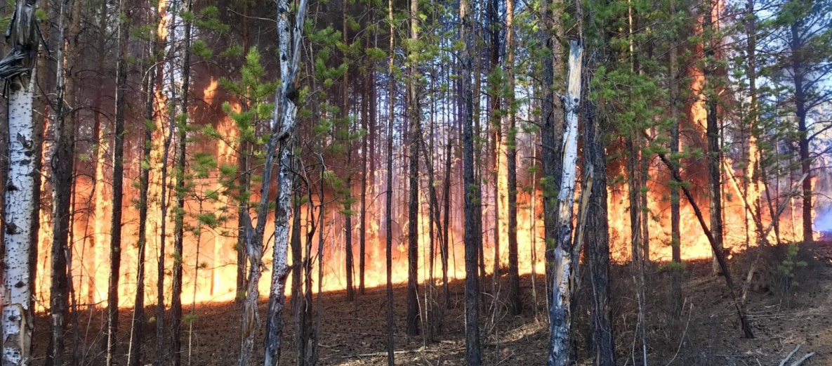 ЧС из-за пожара ввели в Николаевском районе Хабаровского края