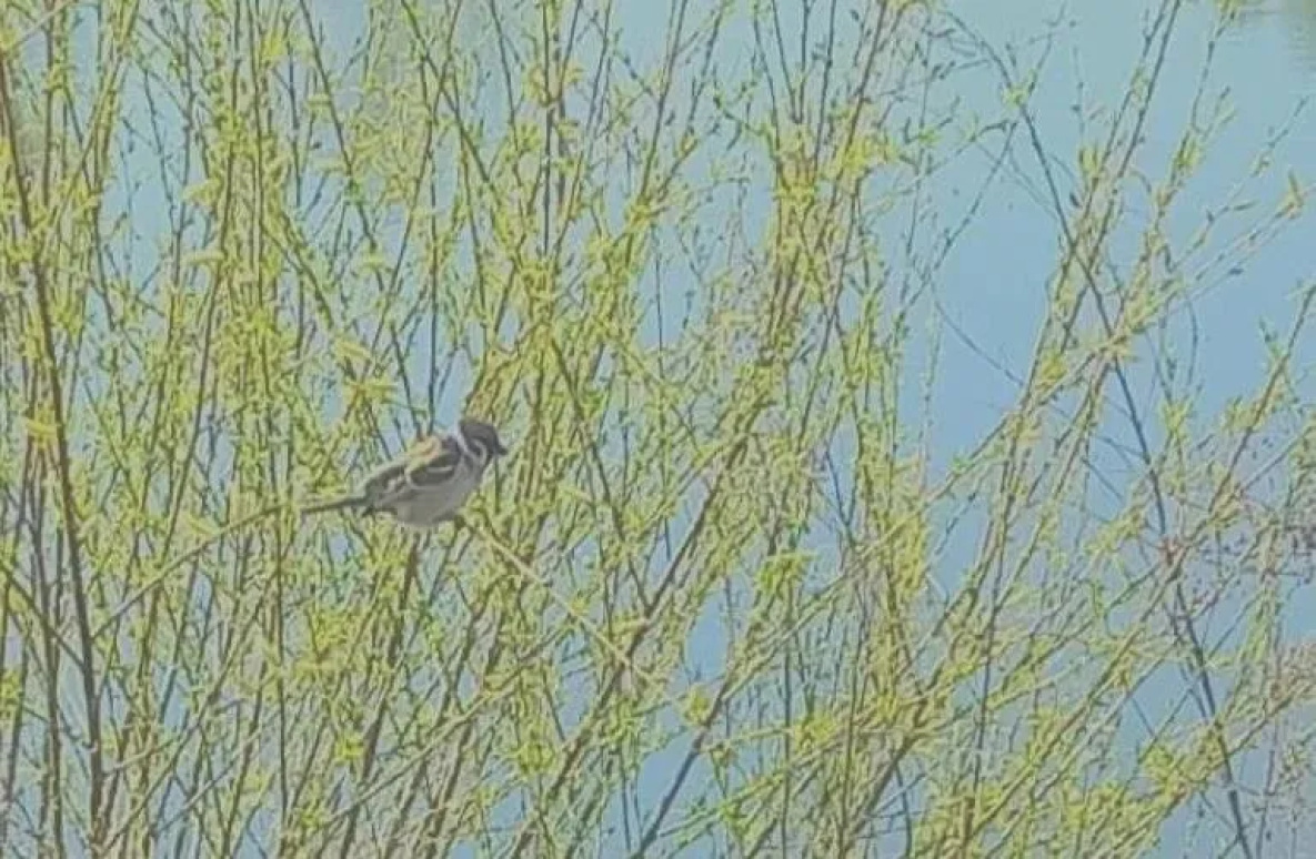 Хабаровский край на этой неделе накроет аномальное тепло