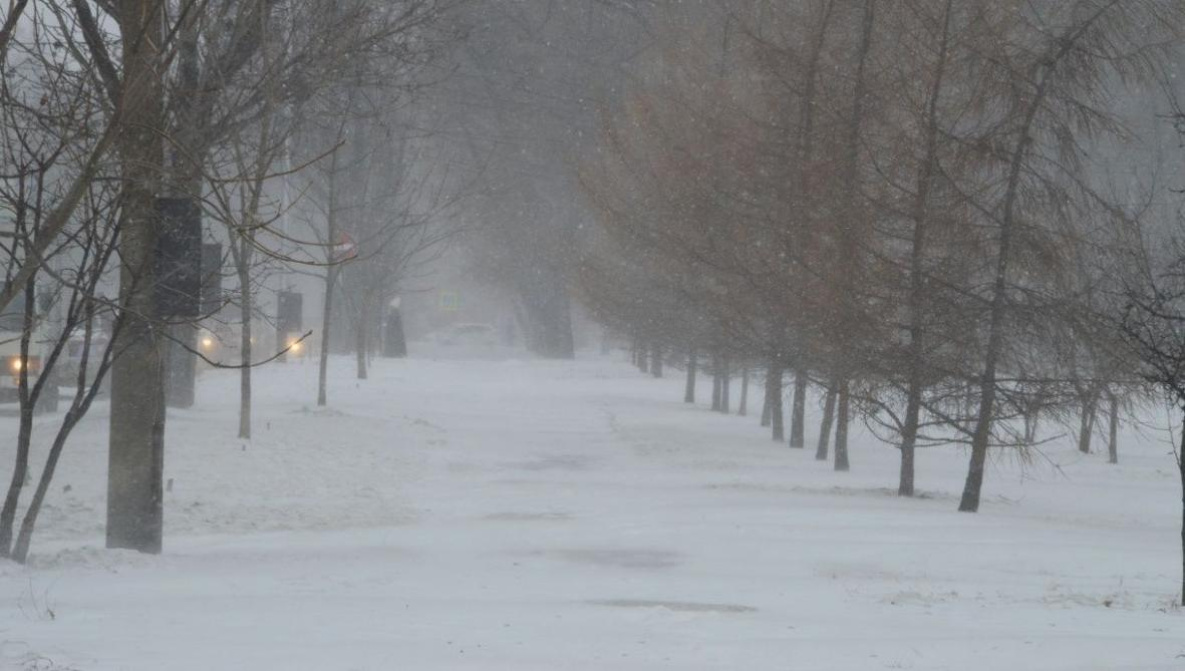 Хабаровский край 25 ноября накроет циклон с сильным снегом