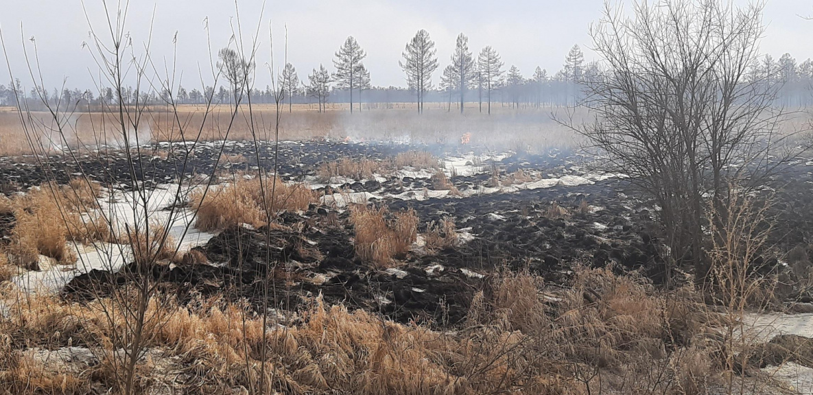 В Хабаровском крае уже начались природные пожары