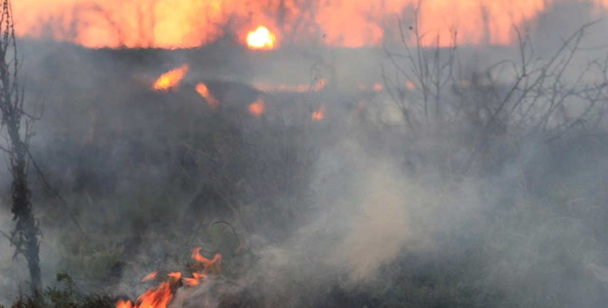 Большой пожар на свалке в Солнечном районе локализован 