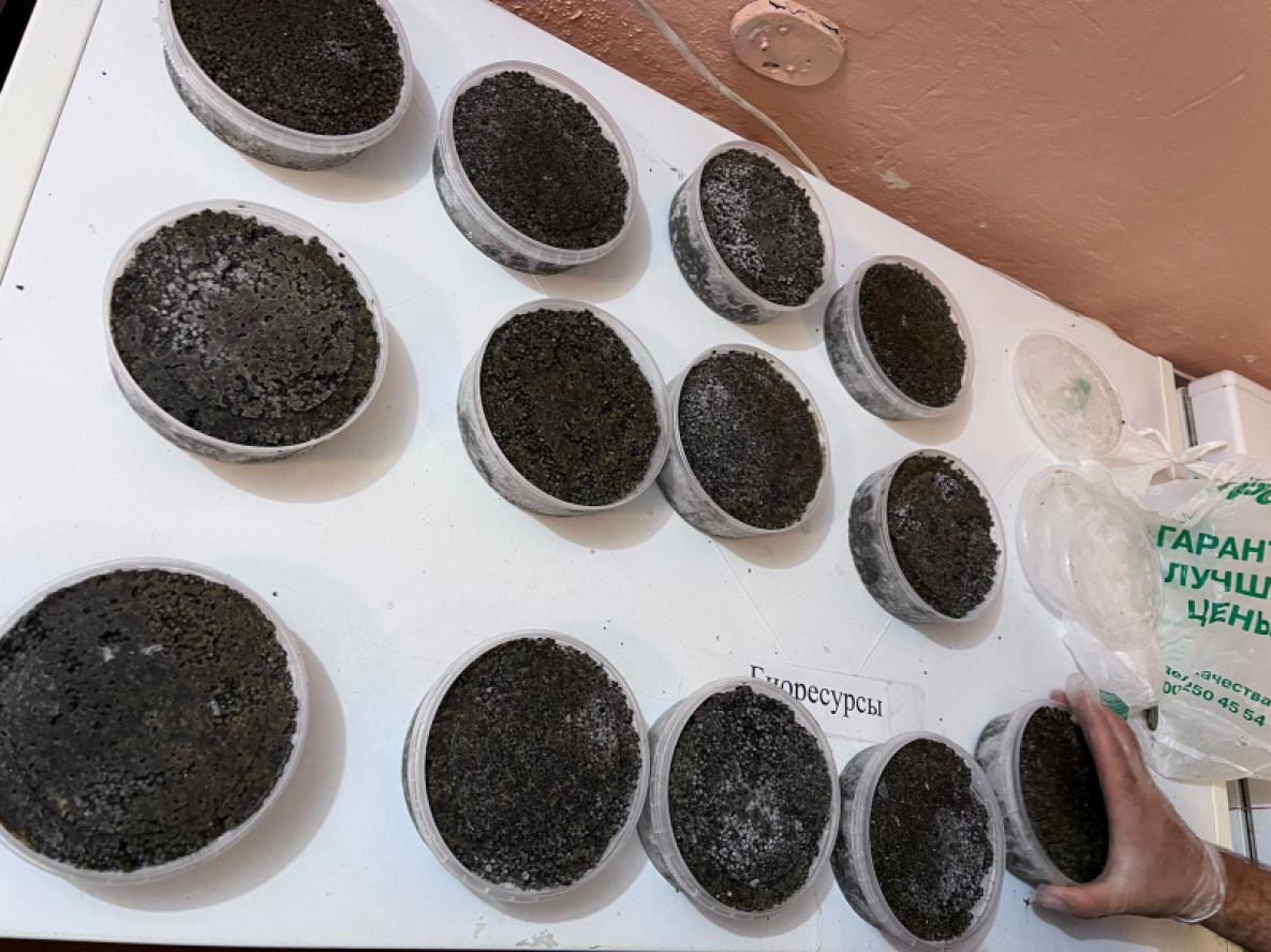 Более 7 кг чёрной икры и 700 кг рыбы незаконно добыл житель Хабаровского края