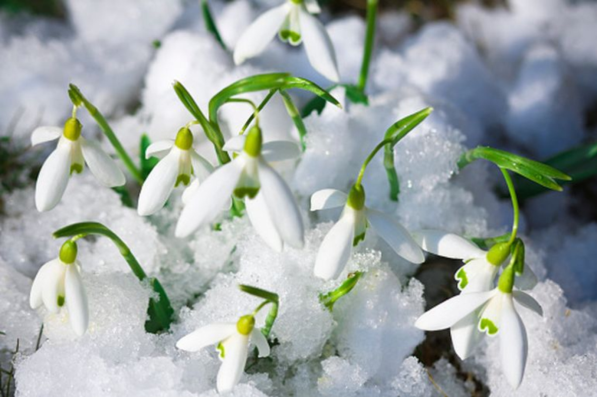 В Хабаровский край на этой неделе наконец-то придёт весна