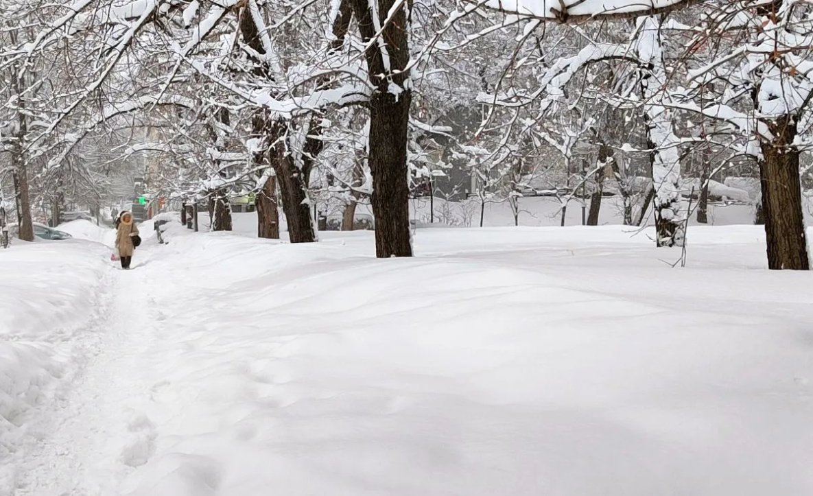 Последняя неделя ноября в Хабаровске начнётся с тёплого понедельника