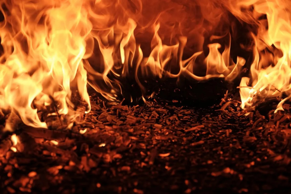 Дожди помогли потушить лесные пожары в Хабаровском крае