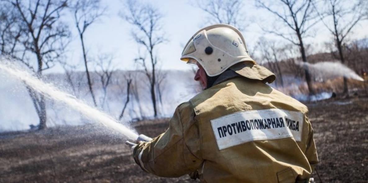 Причиной лесного пожара в Хабаровском крае стал уснувший рыбак
