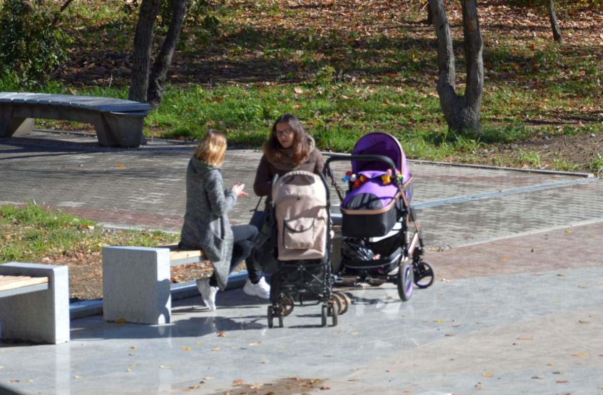 В Хабаровске организуют «Муниципальный семейный клуб»