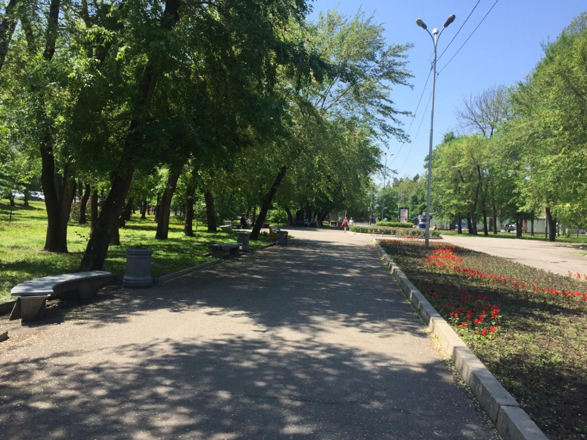 Хабаровск бульвары. Уссурийский бульвар Хабаровск. Амурский и Уссурийский бульвар в Хабаровске. Сквер Амурский бульвар Хабаровск. Парк Уссурийский бульвар Хабаровск.