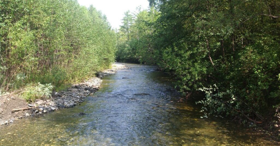 ВТБ и Фонд защитников природы создадут систему поддержки ООПТ