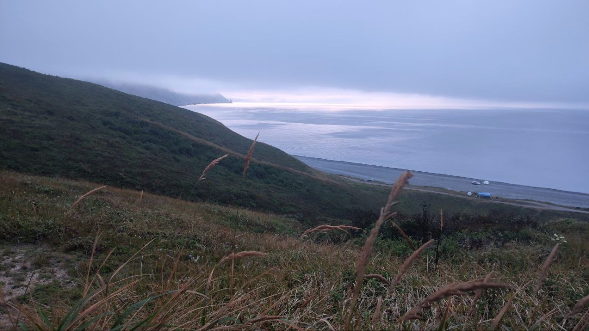Хабаровчане летом смогут добраться до пляжа в Приморье по единому билету