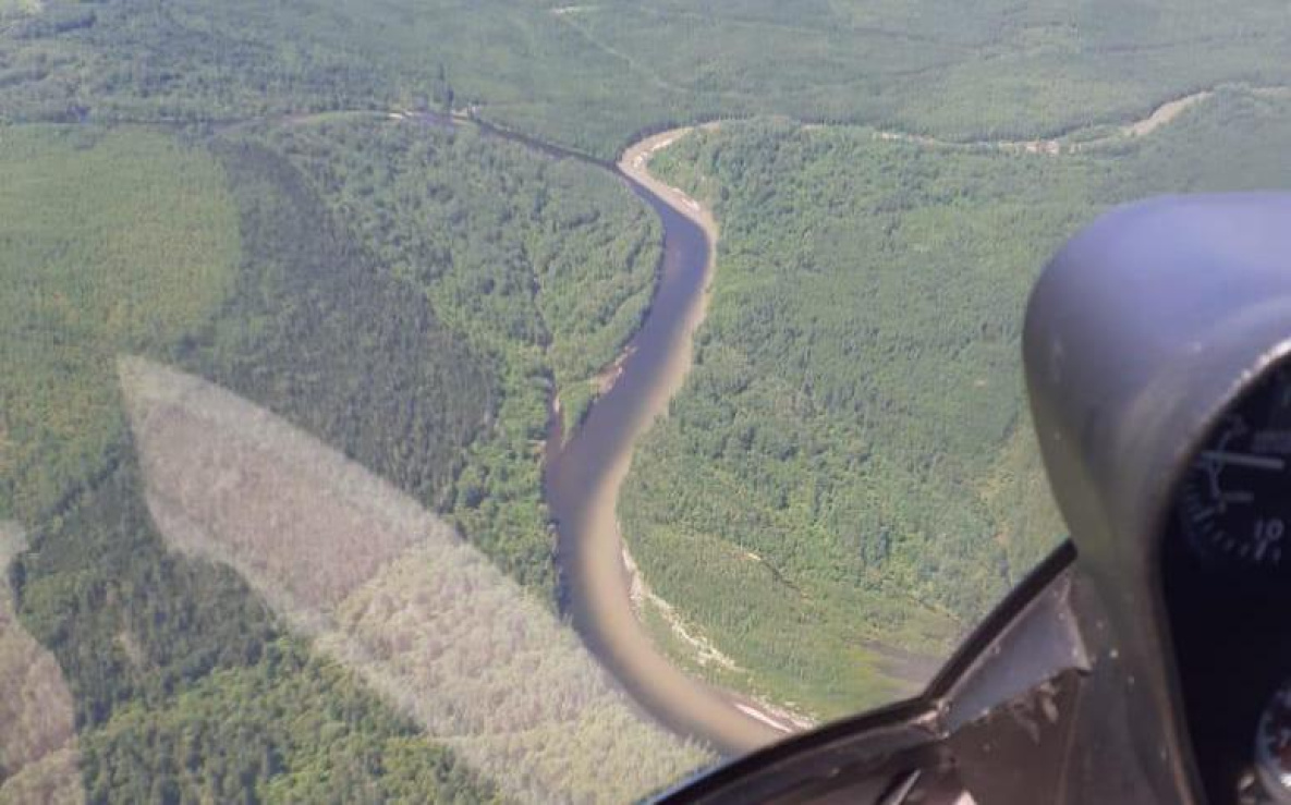 В Хабаровском крае золотодобытчики загрязнили нерестовую реку