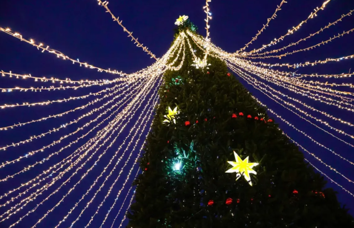 Грядёт Новый год: хабаровчан пригласили украсить игрушками городские ёлки