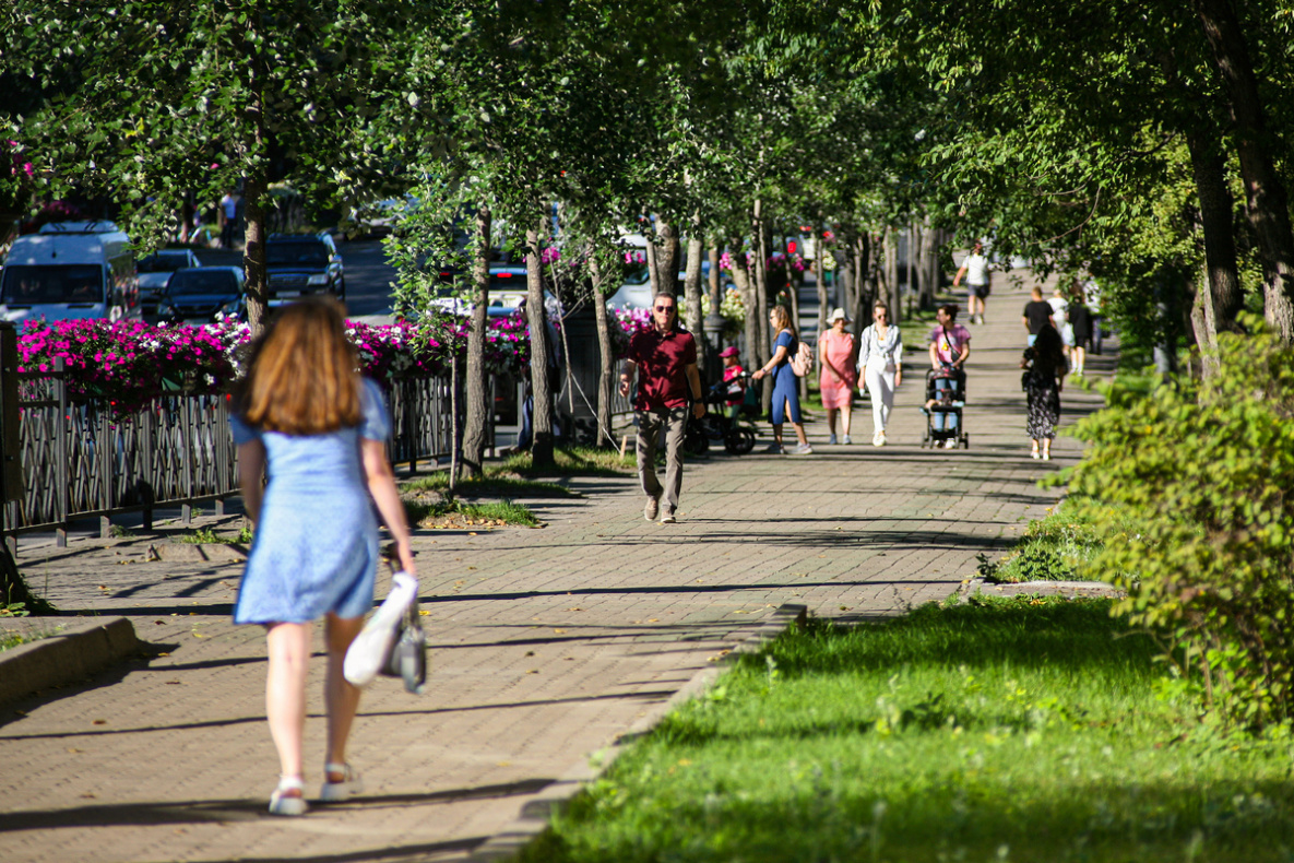 Выборы объектов благоустройства в Хабаровском крае завершатся через неделю