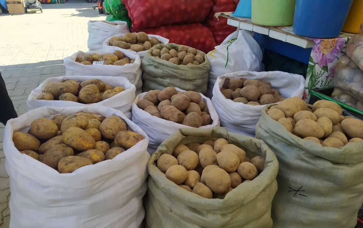 Хабаровский край вырастил картошки на 100% от потребности