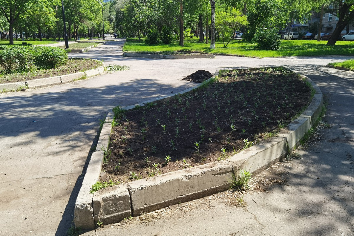 Амурский бульвар в Хабаровске приводят в порядок после замечаний Дмитрия  Демешина | 04.06.2024 | Хабаровск - БезФормата