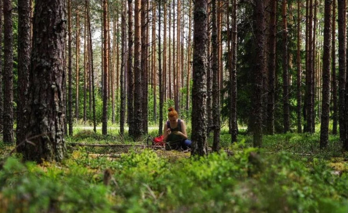 Хабаровчанам рассказали, как не заблудиться в лесу