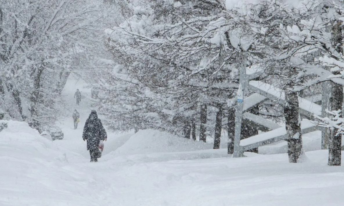 Хабаровский край накроет предновогодним снегом  