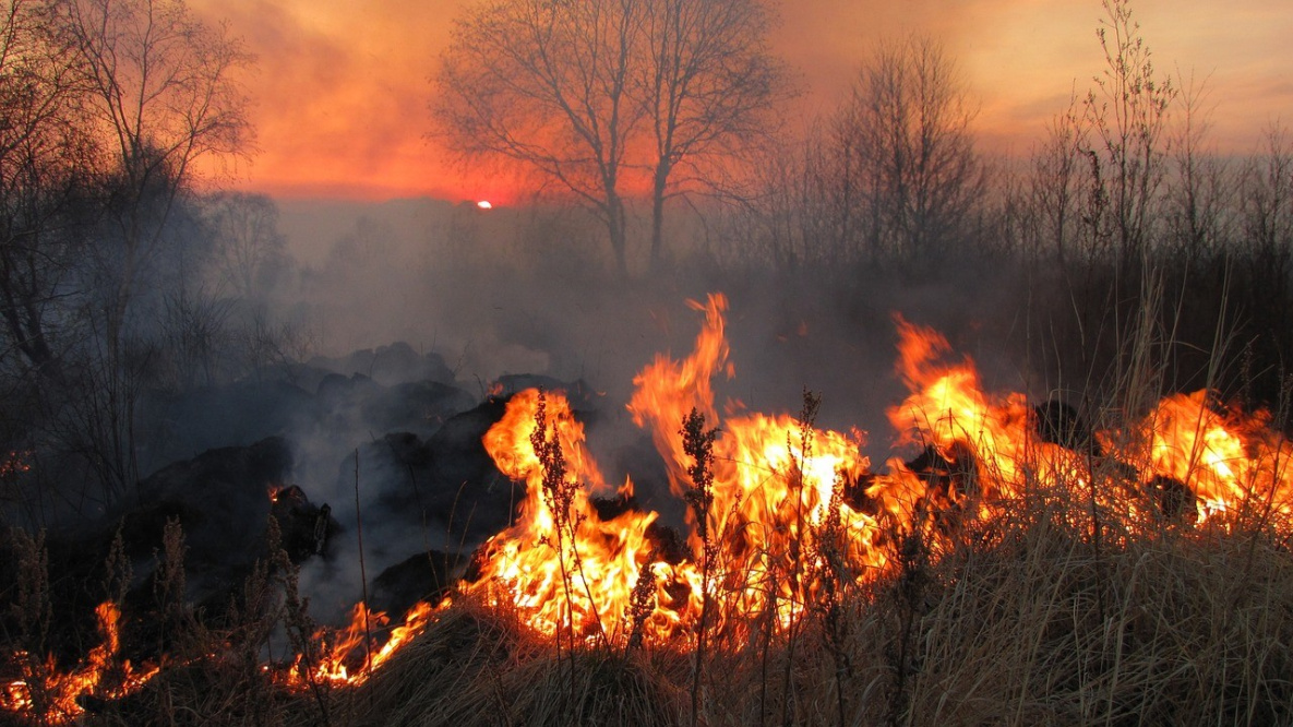 Жители Хабаровского края упорно стараются себя сжечь