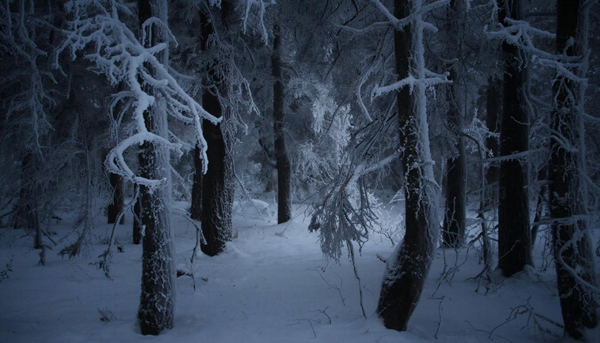 Народные приметы на 17 февраля: сегодня опасно ходить в лес