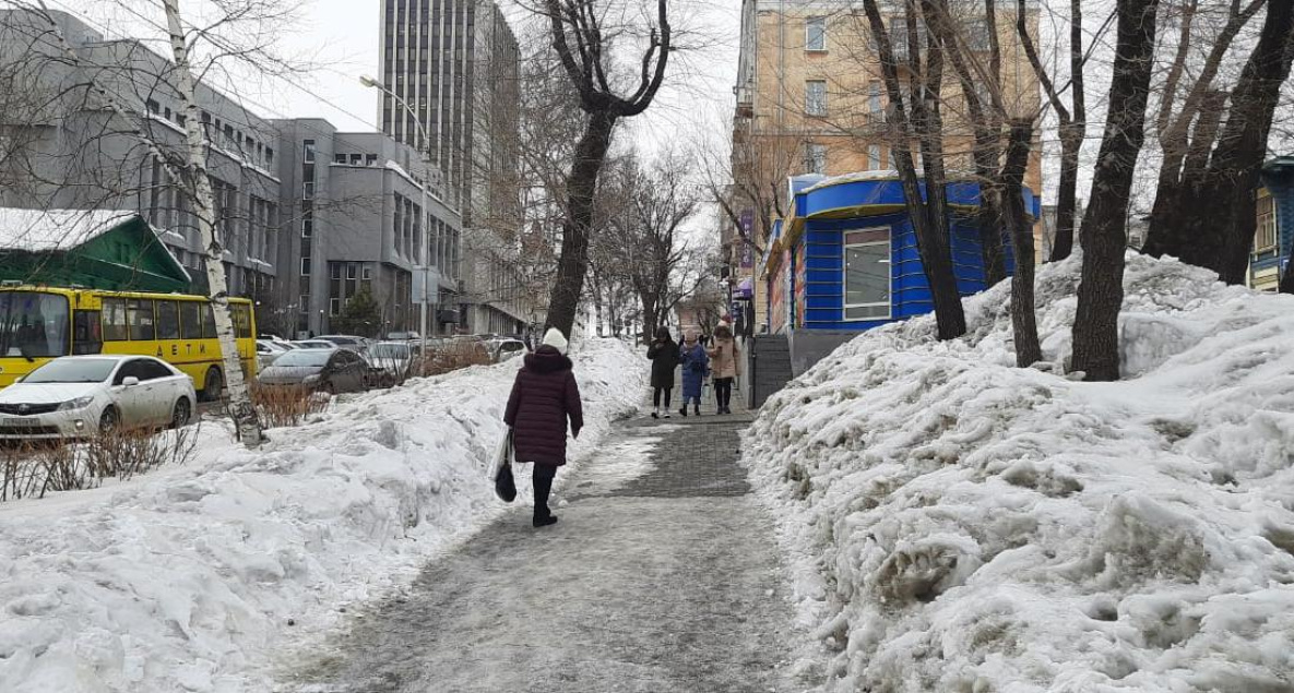 Хабаровские чиновники признали ошибки в борьбе со снегом
