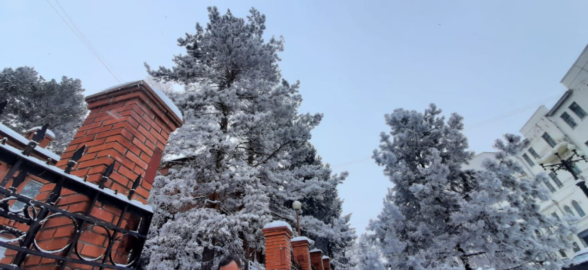 В Хабаровске ожидается самый холодный день этой недели