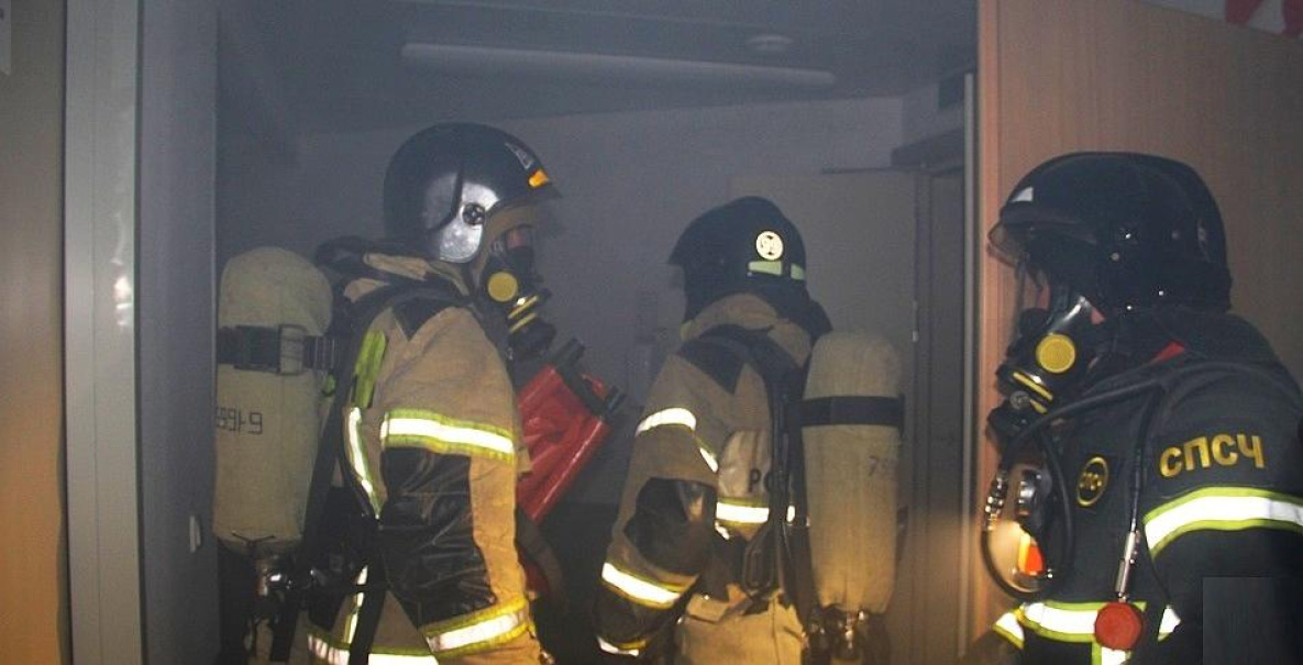 В 2024 году в Хабаровском крае от пожаров погибли 29 человек