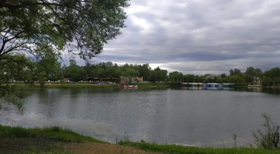 Свалкой на озере Рица в Хабаровске заинтересовалась прокуратура