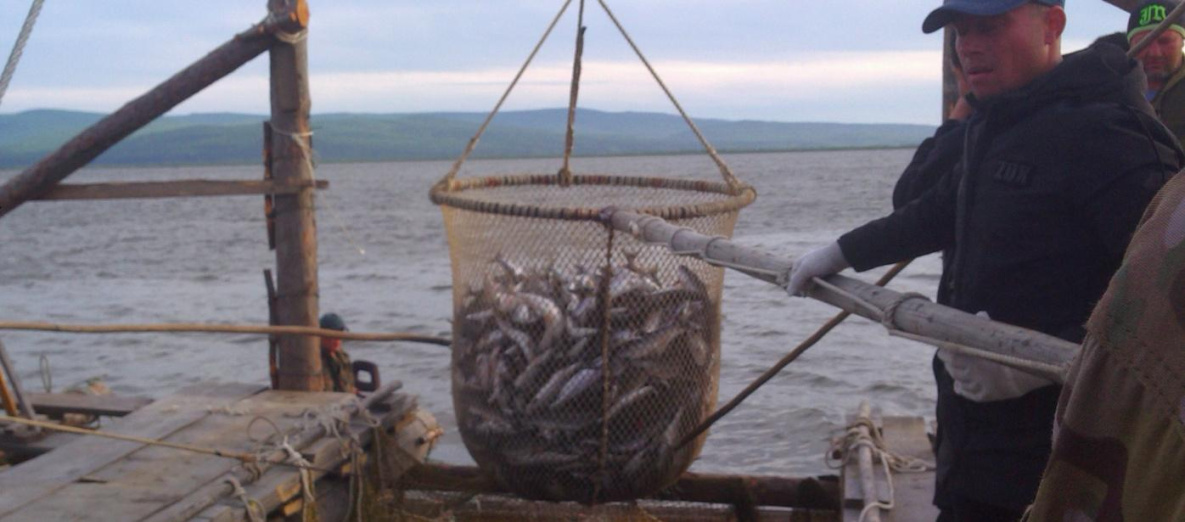 Хабаровские рыбаки надеются на справедливое решение