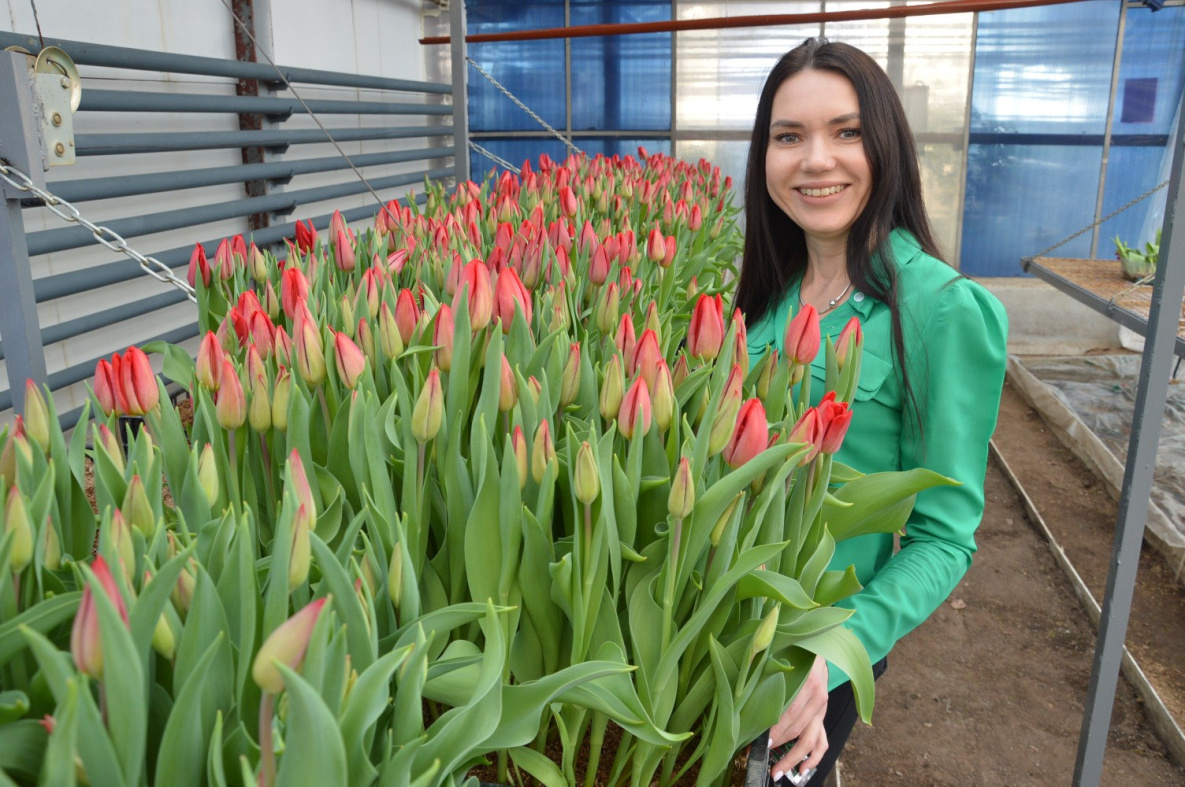 В хабаровском «Горзеленстрое» к празднику весны подготовили 11 тысяч цветов 