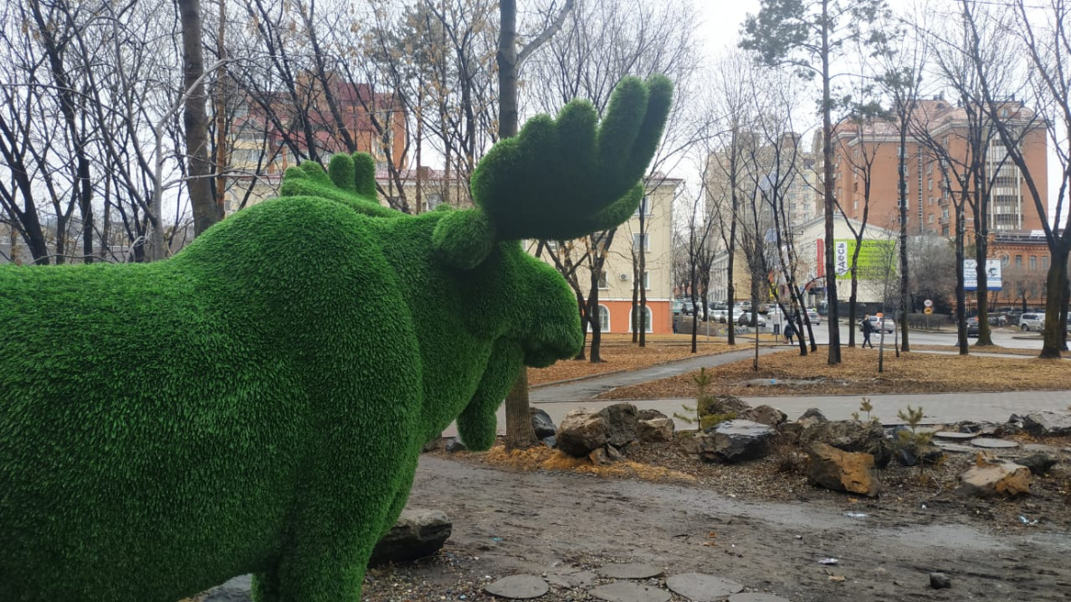 Мишка, музыкант, тигр: новые зеленые фигуры украсят Хабаровск