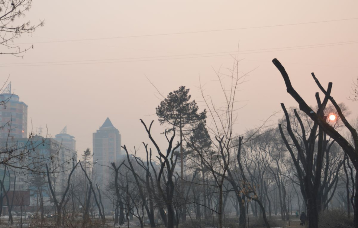 Дым от пожаров в Хабаровске будет ощущаться ещё два дня