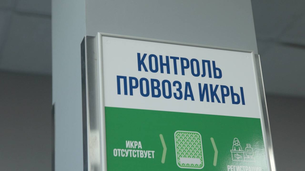 В Хабаровском крае авиапассажирам ограничат провоз красной икры